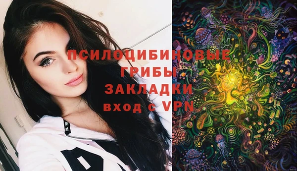 соль курить ск Алзамай