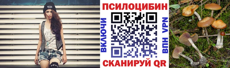 цены наркотик блэк спрут ONION Галлюциногенные грибы прущие грибы Анжеро-Судженск